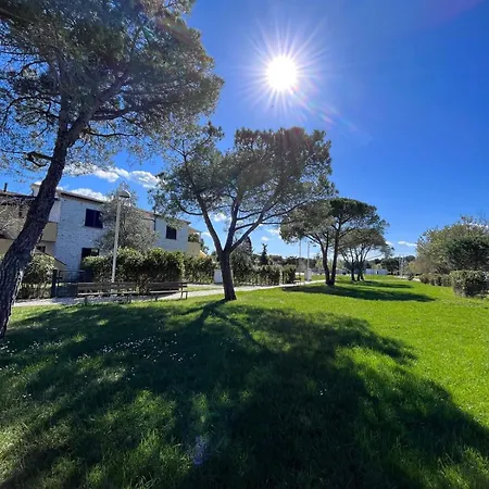 Trilocale Giglio, In Con Piscina